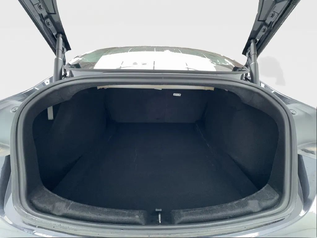 Tesla Model 3 photo 12