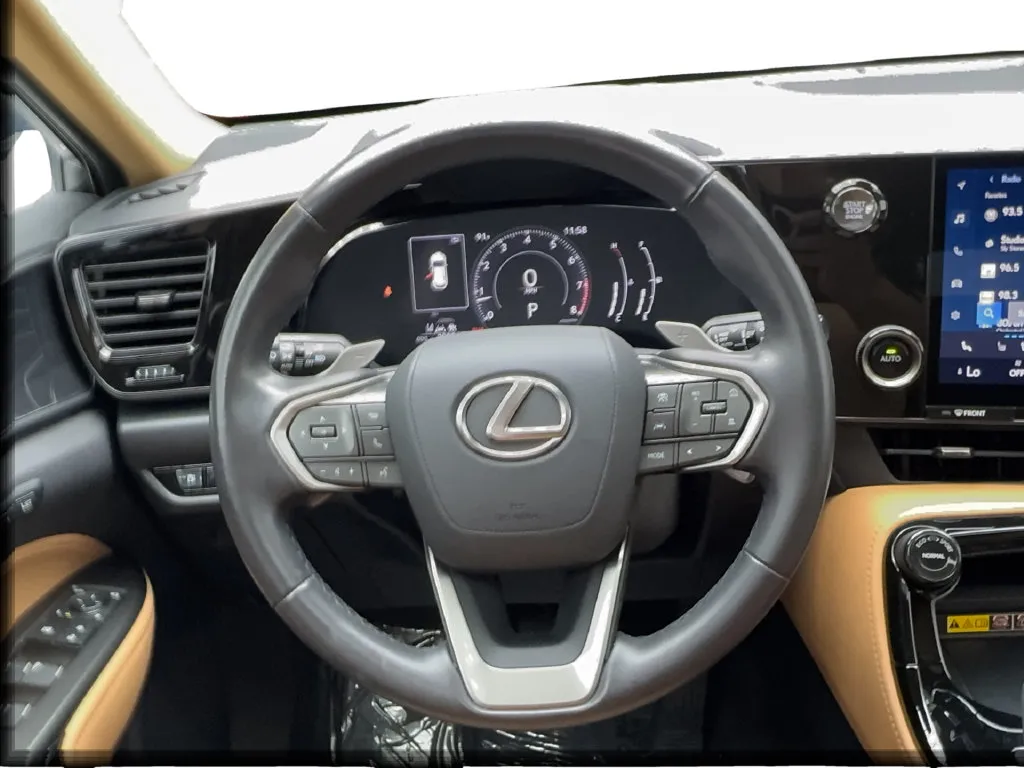 Lexus NX photo 41