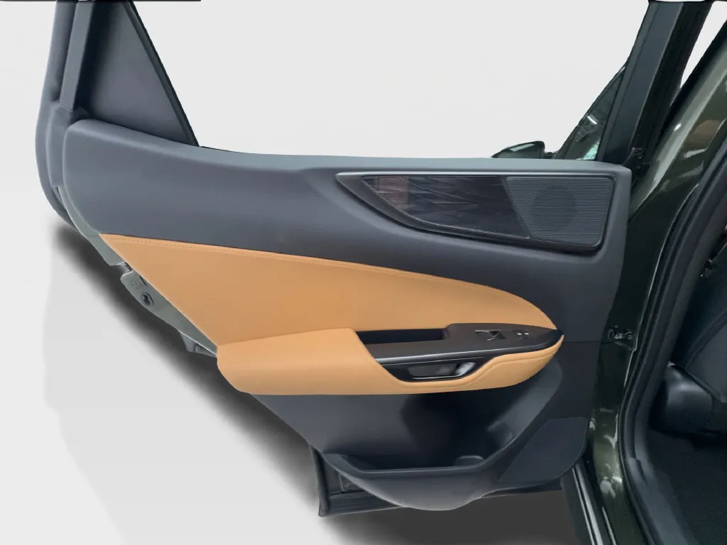 Lexus NX photo 29
