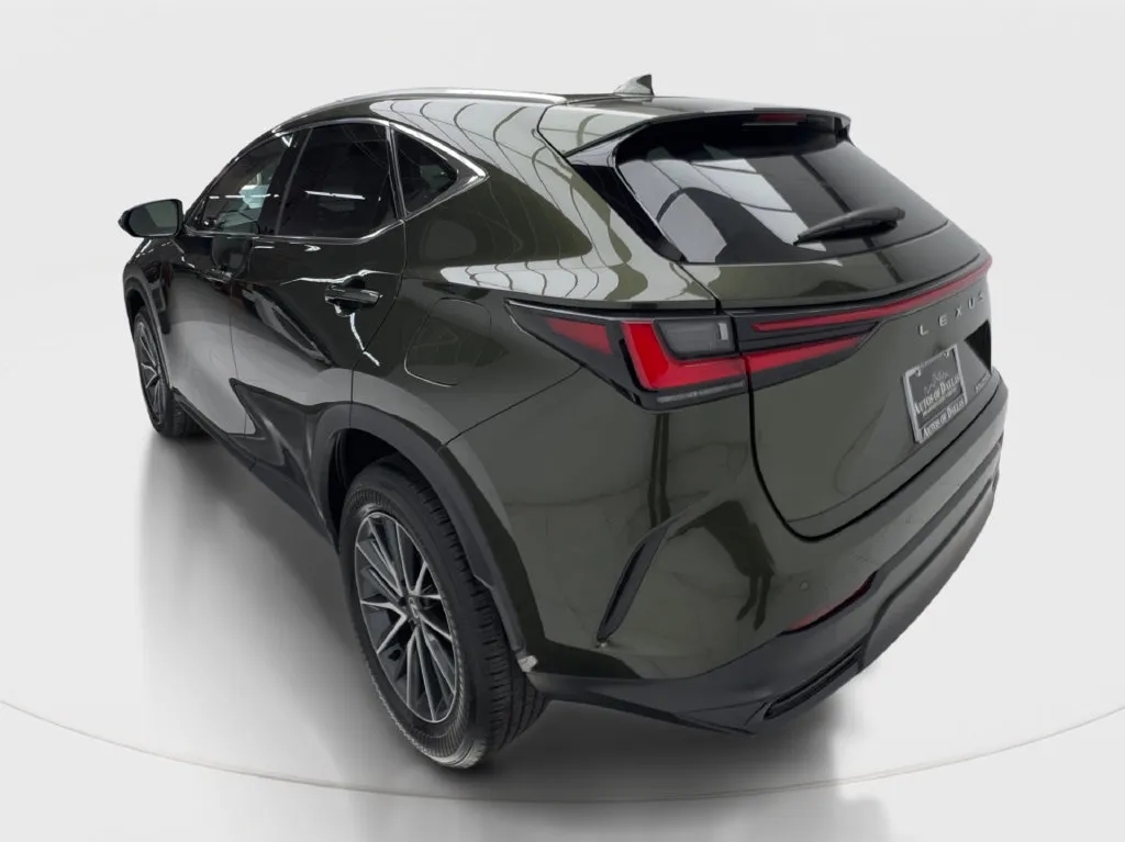 Lexus NX photo 11