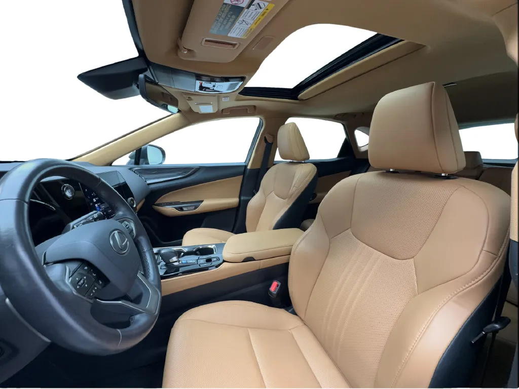 Lexus NX photo 21