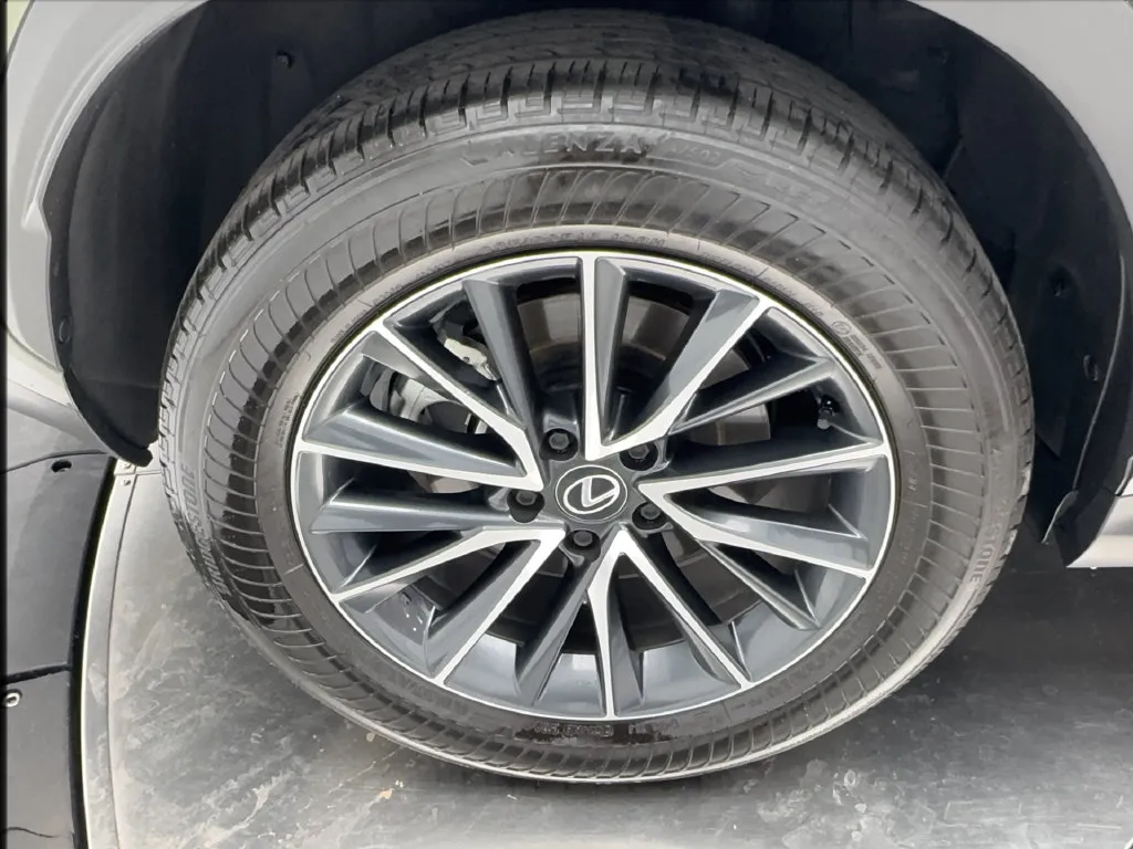 Lexus NX photo 18