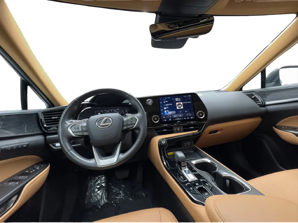 Lexus NX photo 39