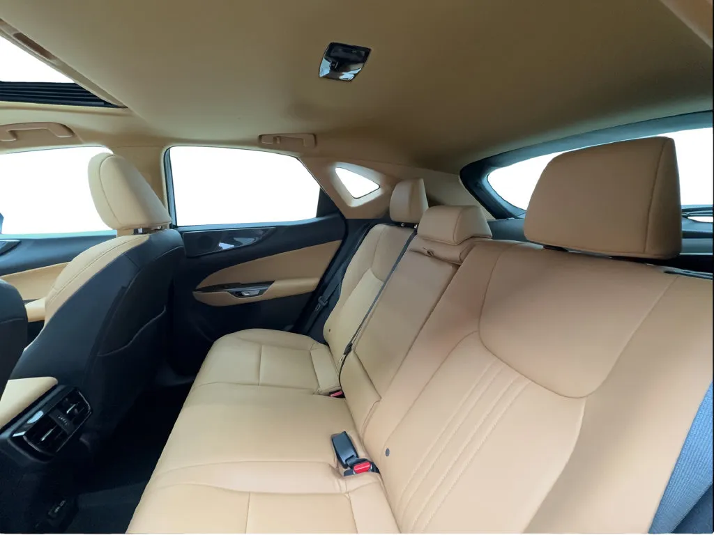Lexus NX photo 28