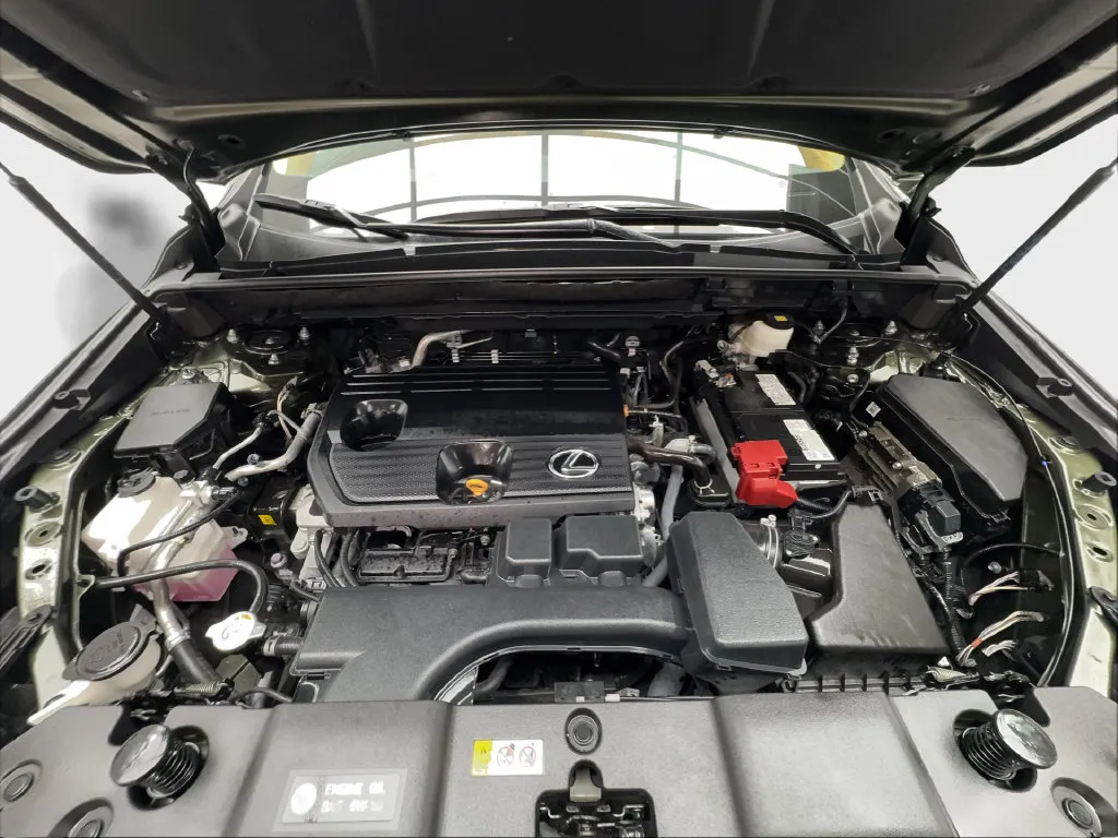 Lexus NX photo 20