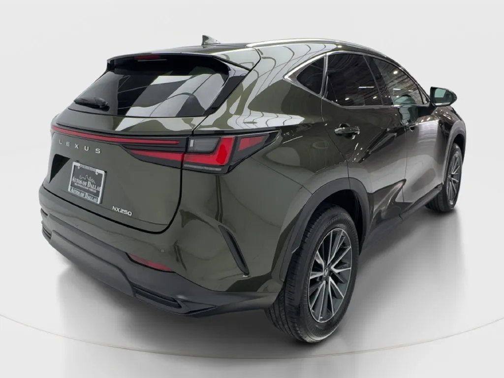 Lexus NX photo 8