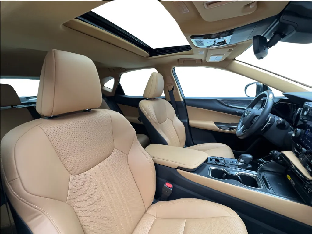 Lexus NX photo 34