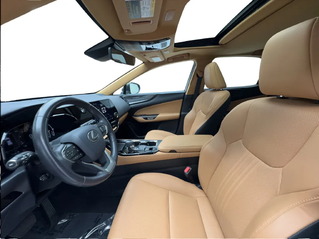 Lexus NX photo 22