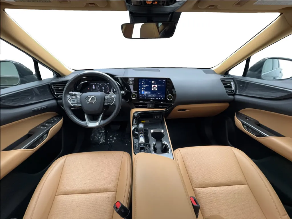 Lexus NX photo 42