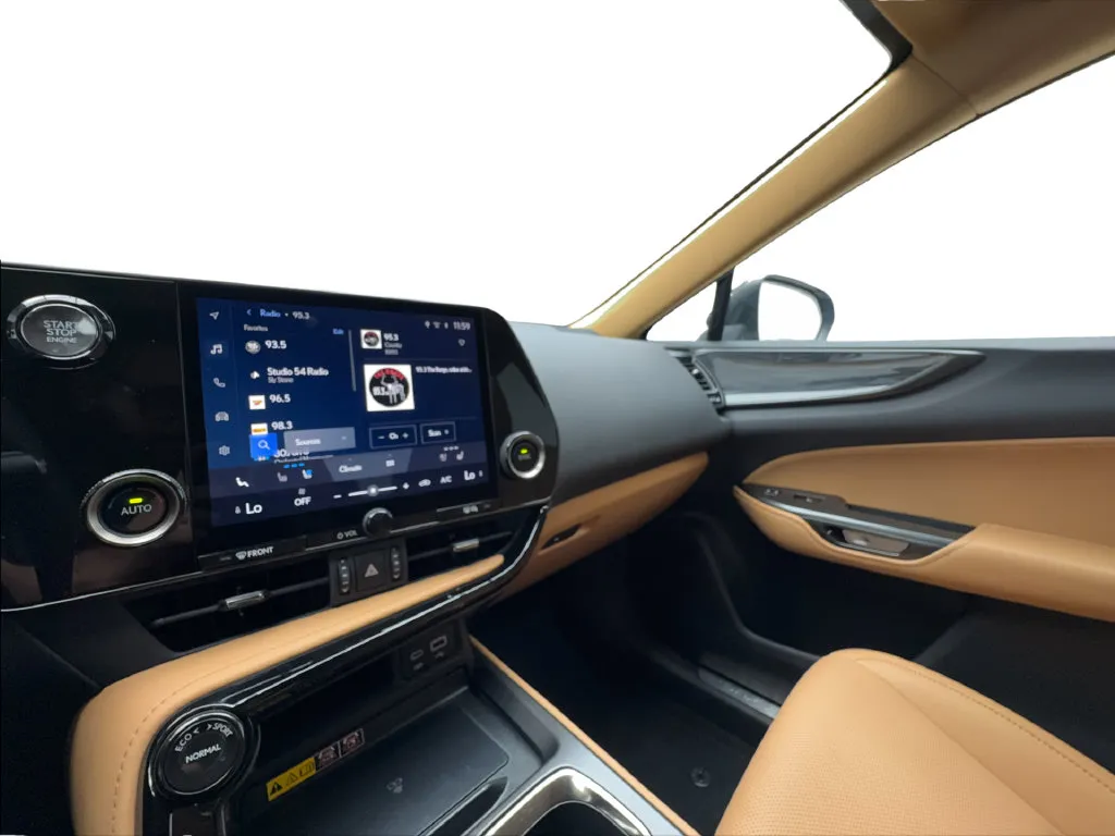 Lexus NX photo 48
