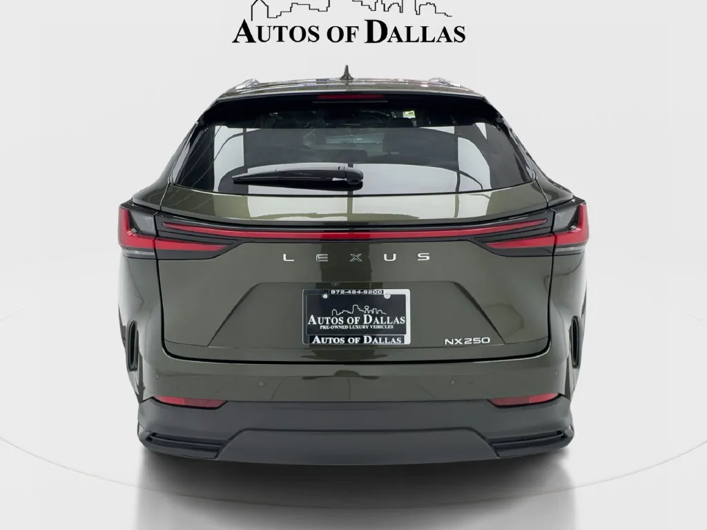 Lexus NX photo 10