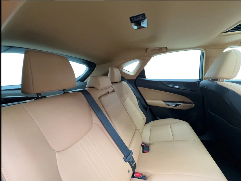 Lexus NX photo 32