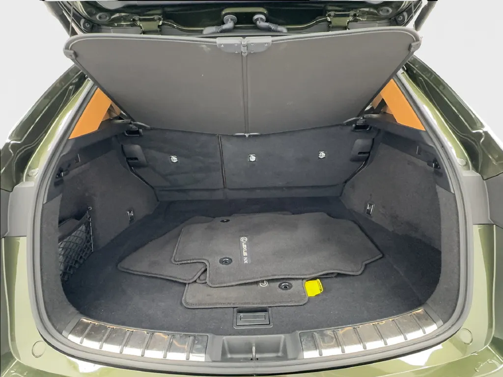 Lexus NX photo 19