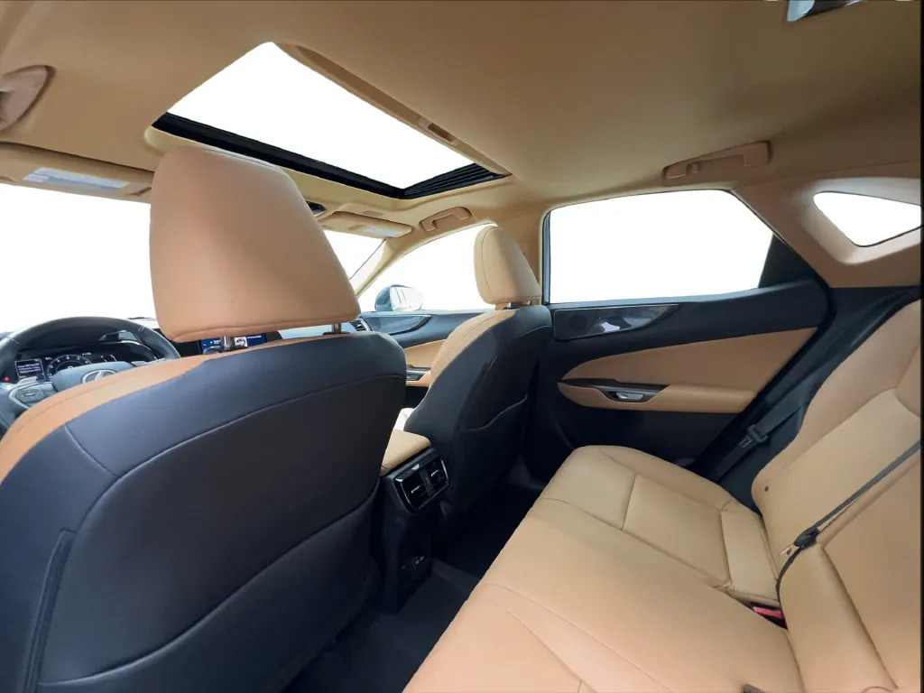 Lexus NX photo 27