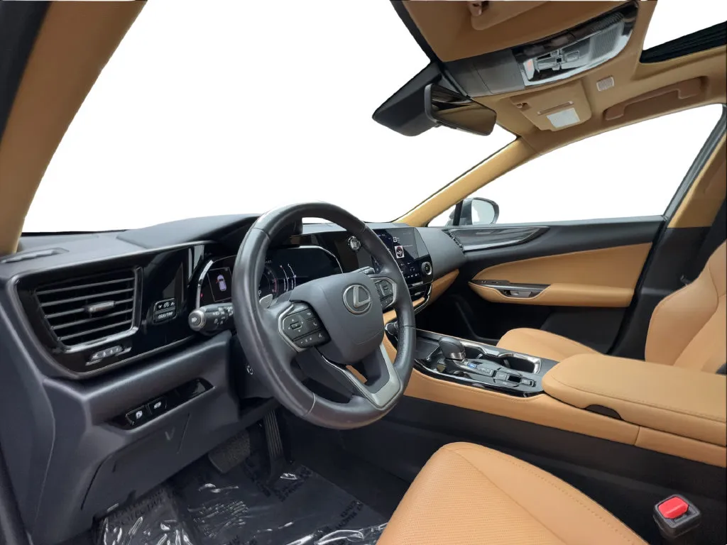 Lexus NX photo 23