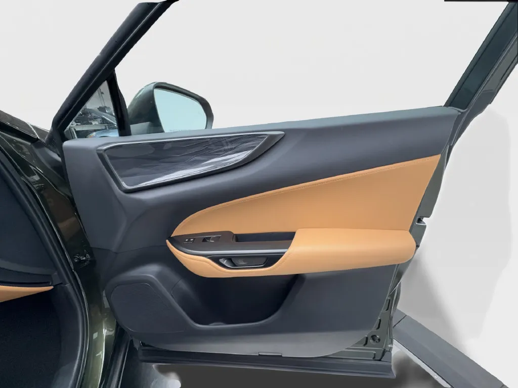 Lexus NX photo 37