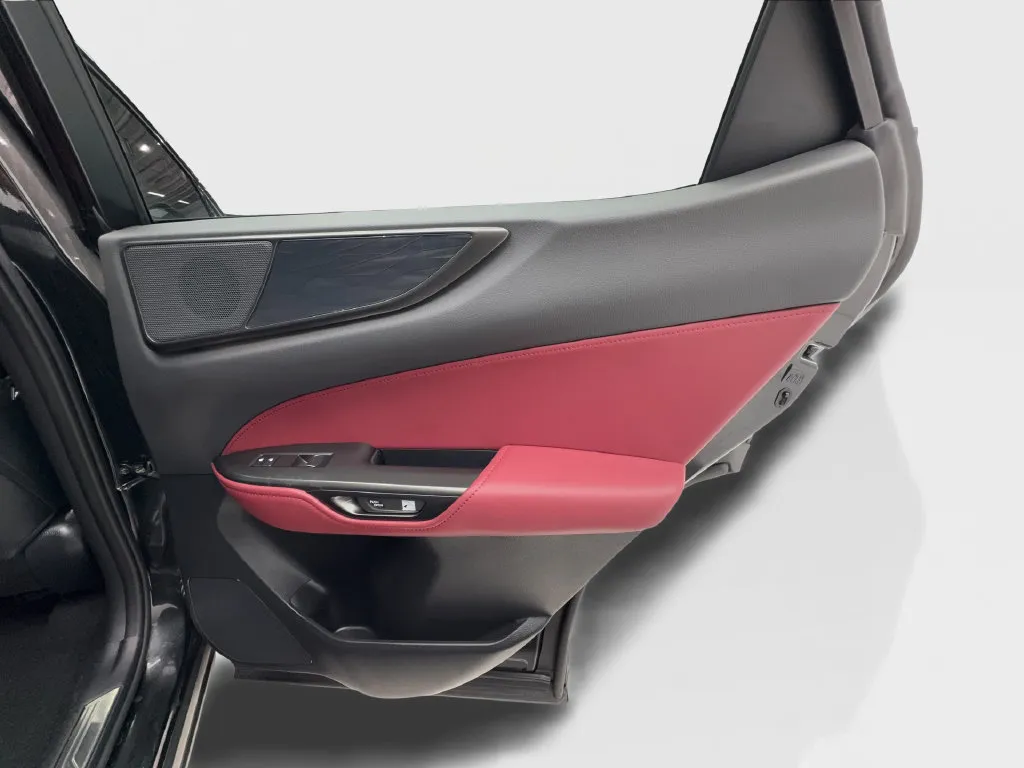 Lexus NX photo 33