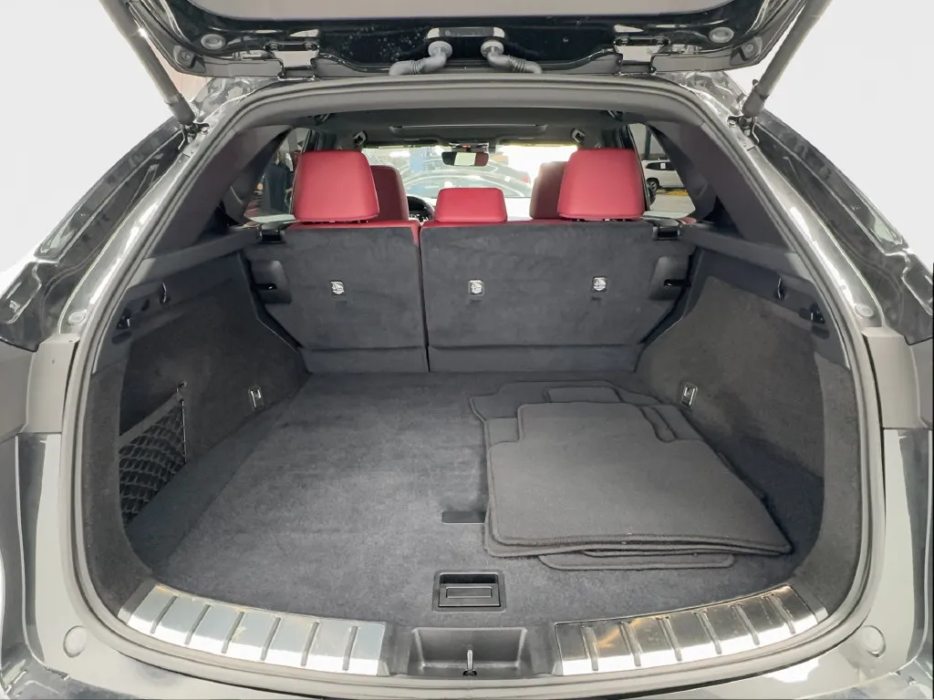 Lexus NX photo 19