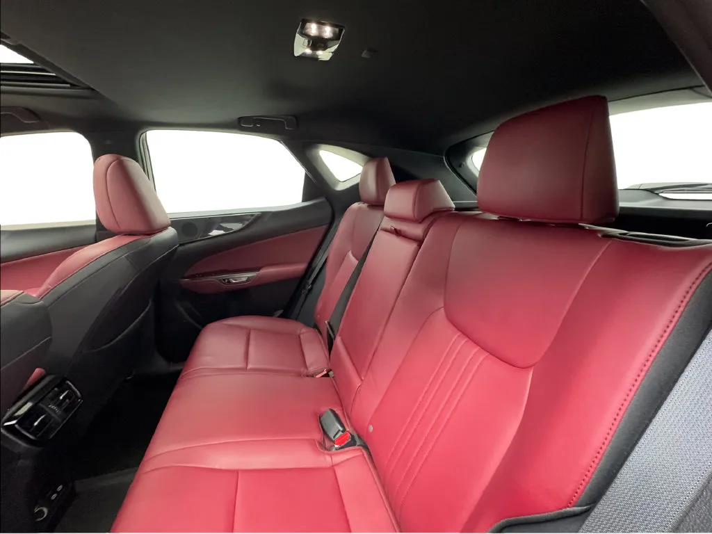 Lexus NX photo 28