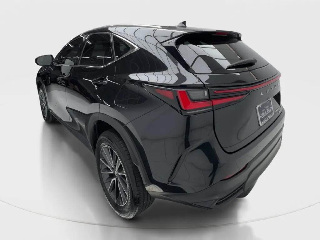Lexus NX photo 11