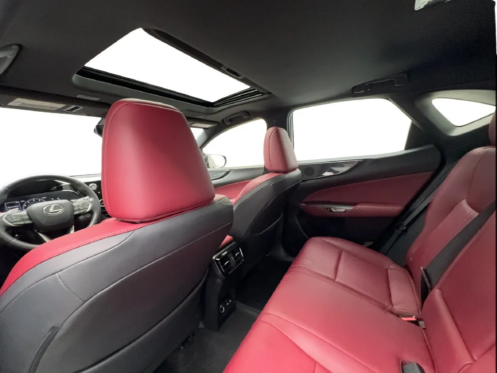 Lexus NX photo 27