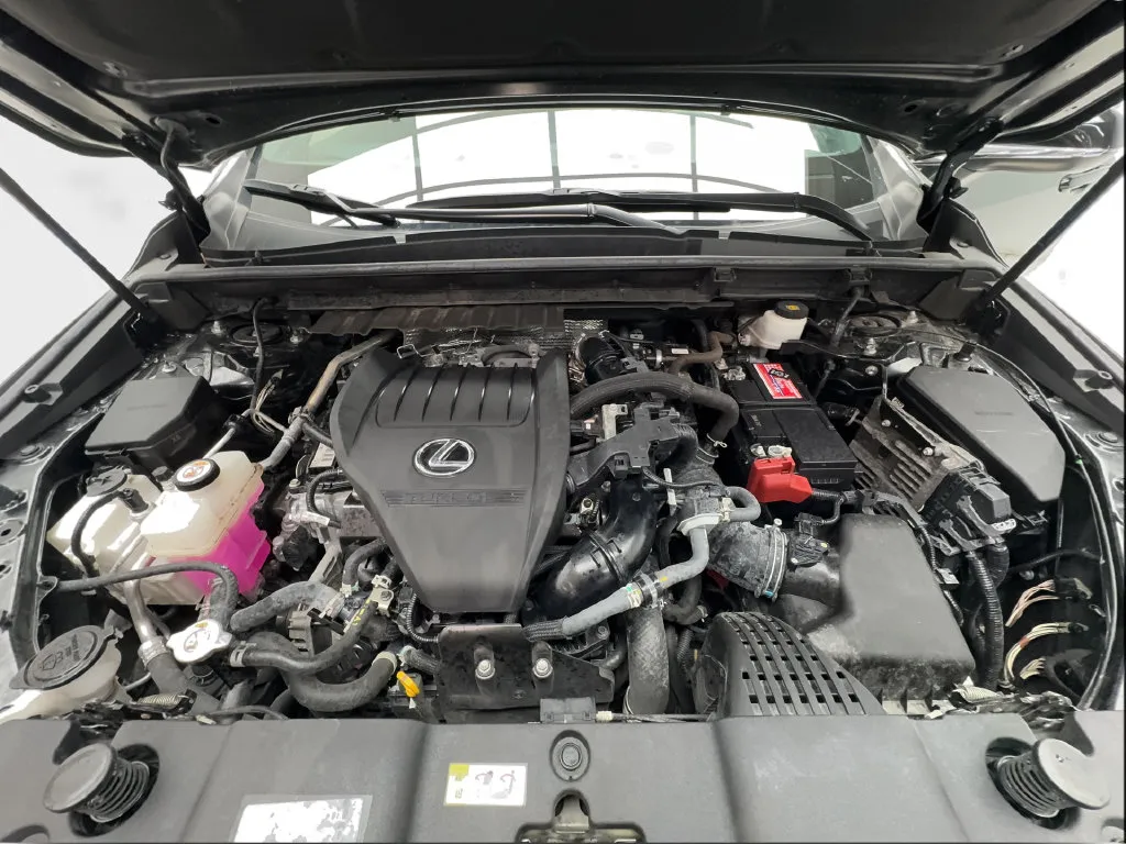 Lexus NX photo 20