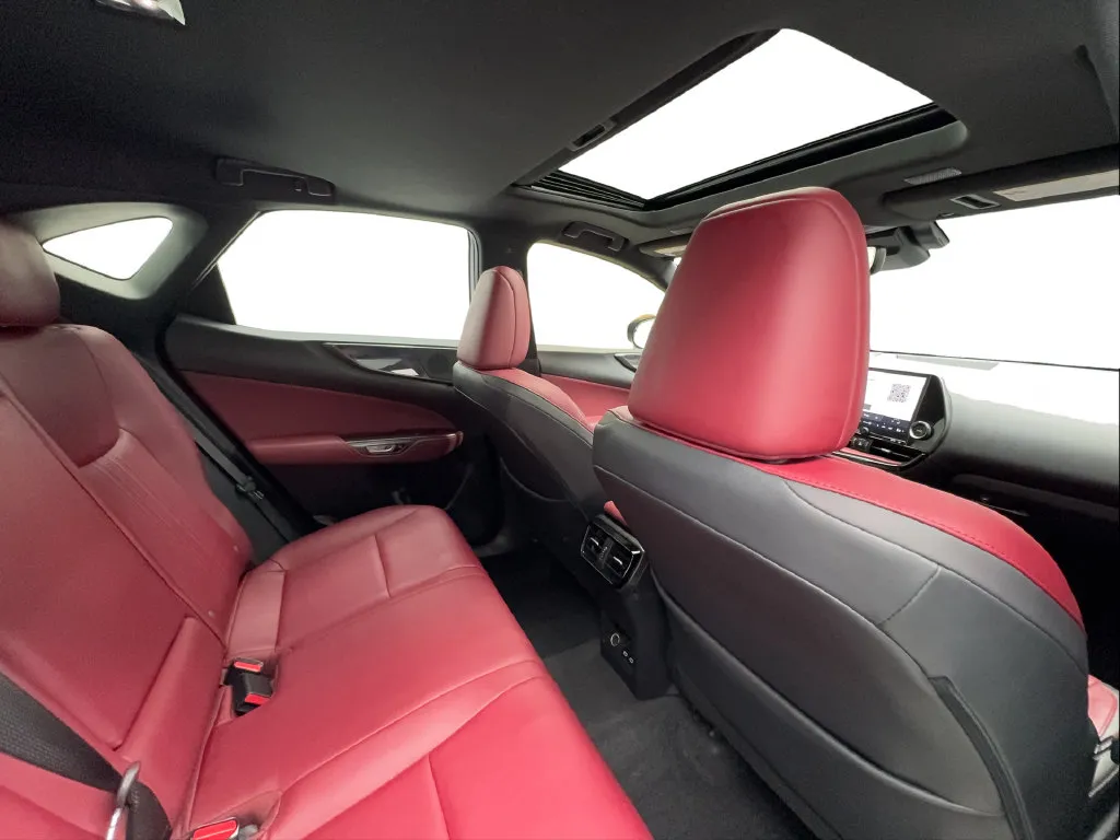 Lexus NX photo 30