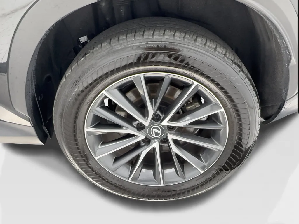 Lexus NX photo 14