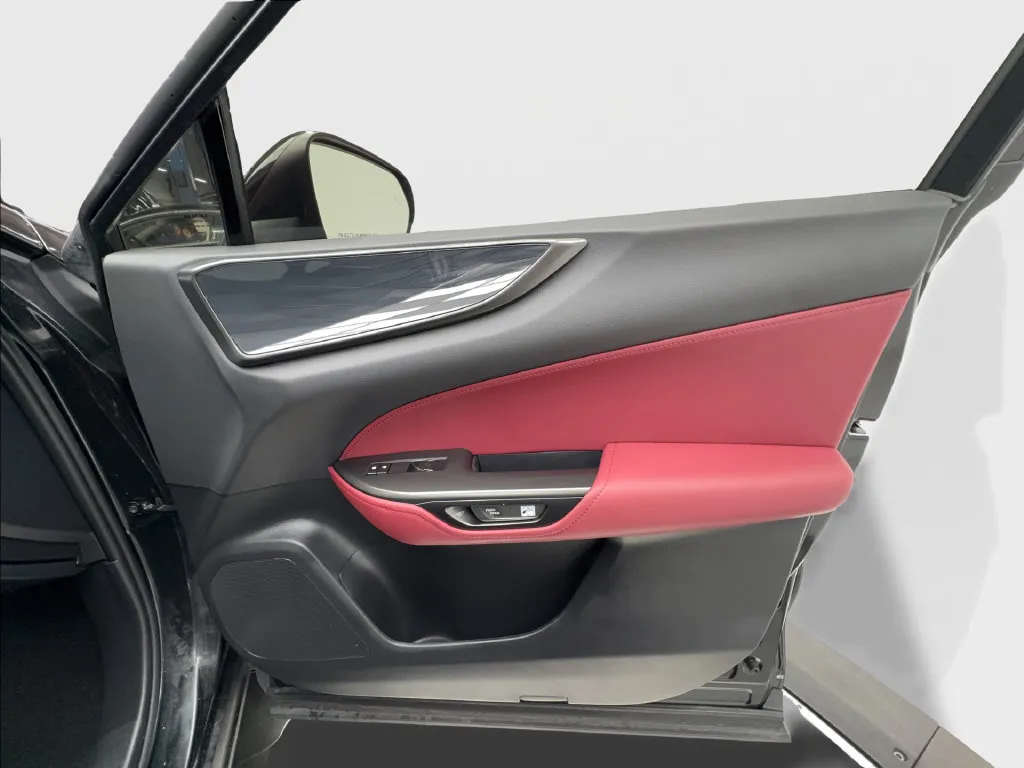 Lexus NX photo 37