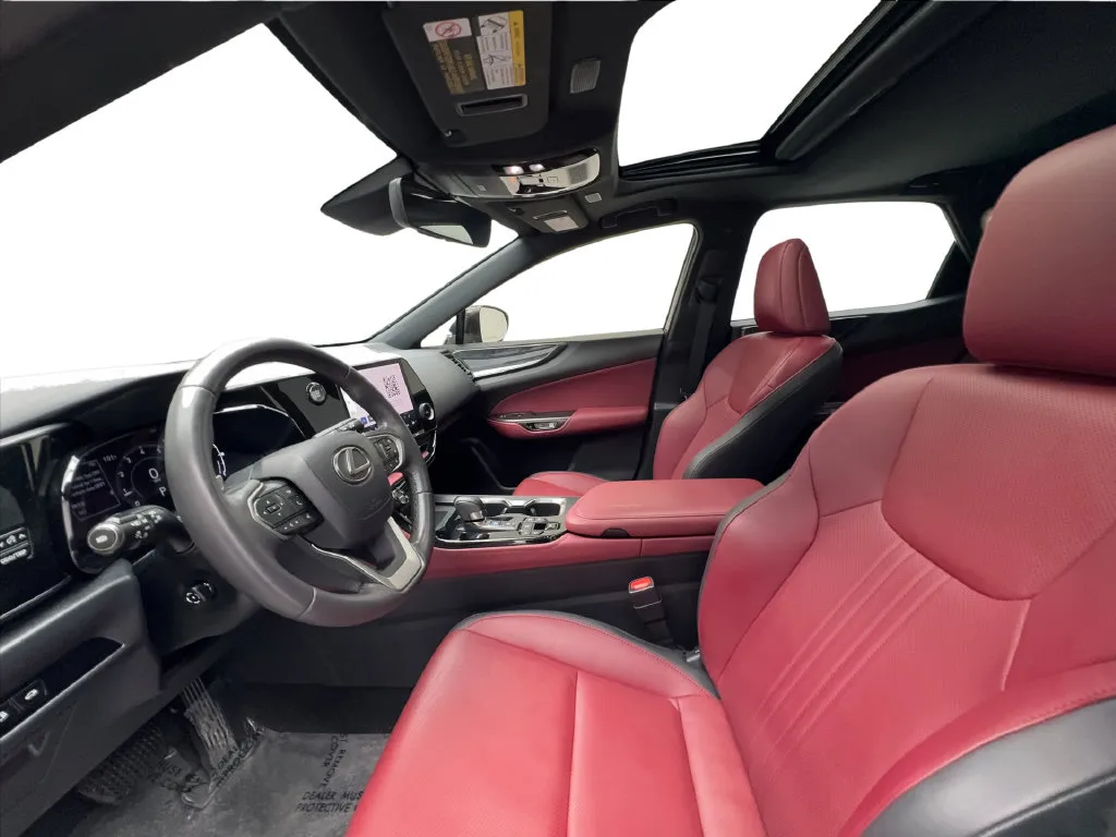 Lexus NX photo 22