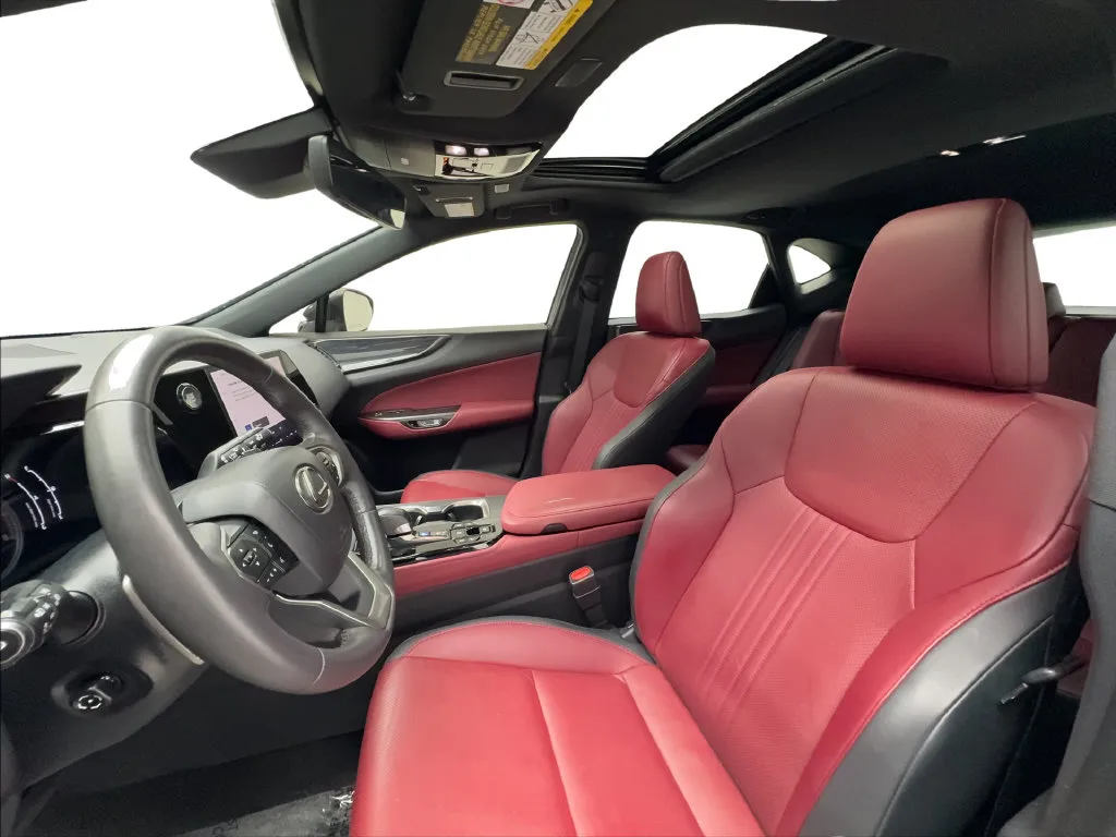 Lexus NX photo 21