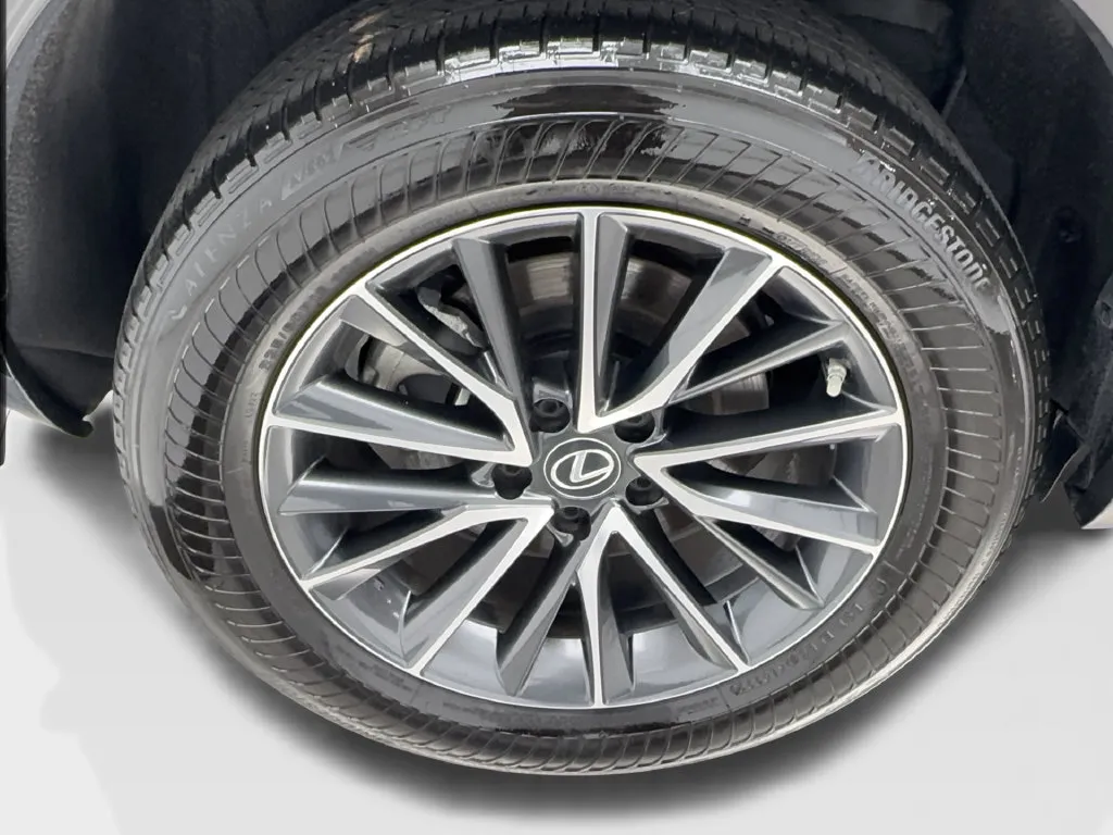 Lexus NX photo 18