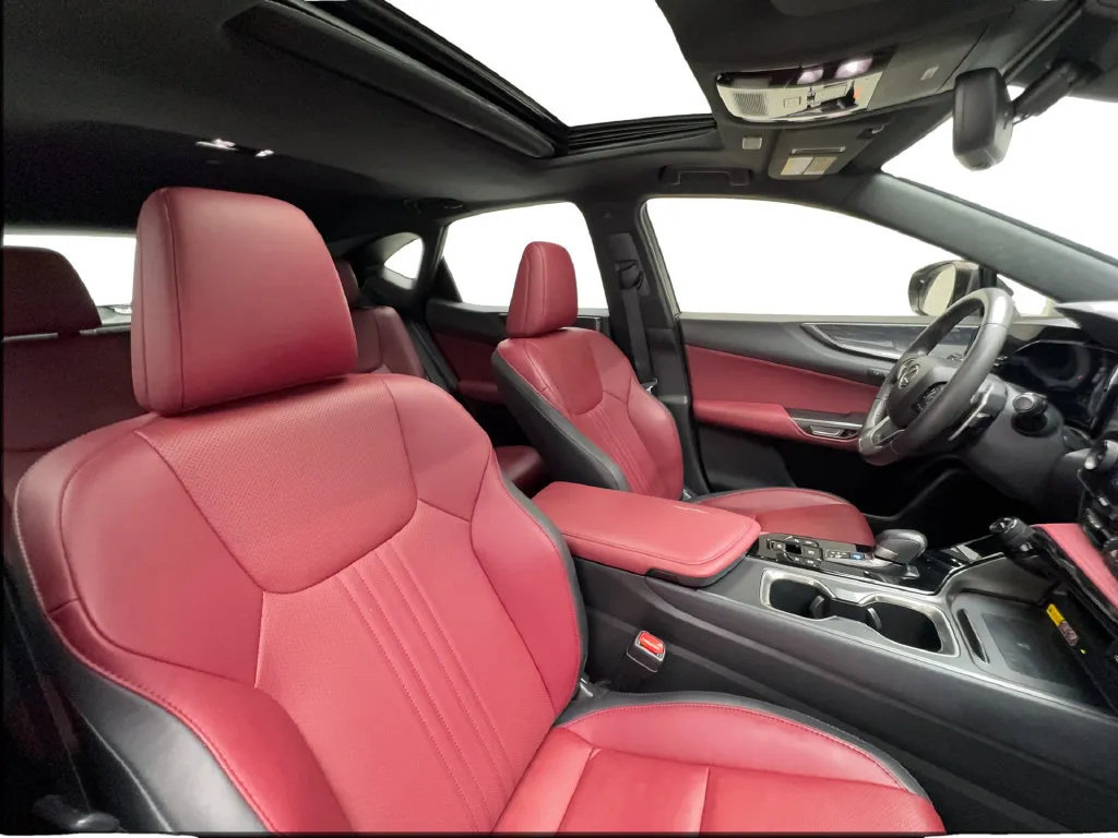 Lexus NX photo 34