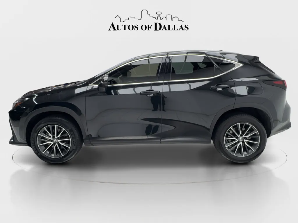 Lexus NX photo 6