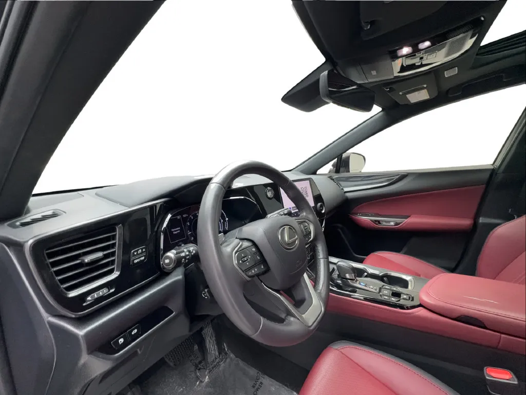 Lexus NX photo 23