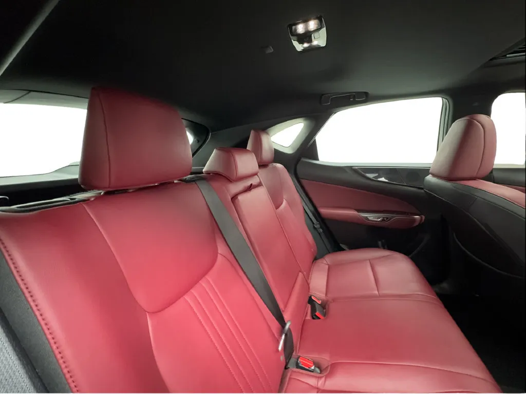 Lexus NX photo 32