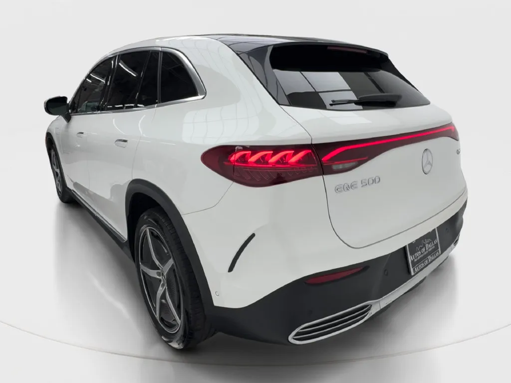 Mercedes-Benz EQE photo 6