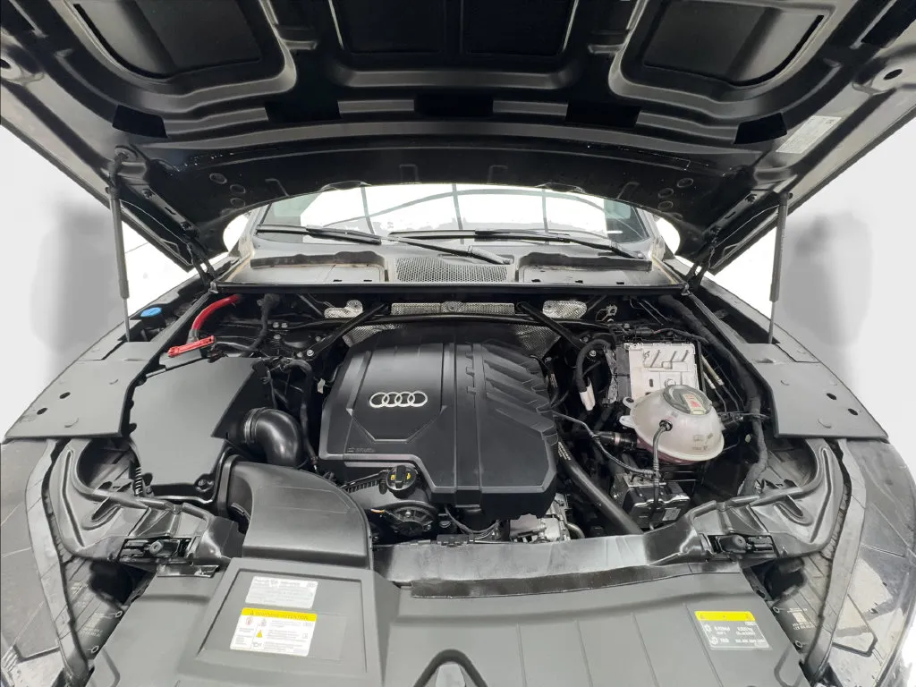 Audi Q5 photo 19