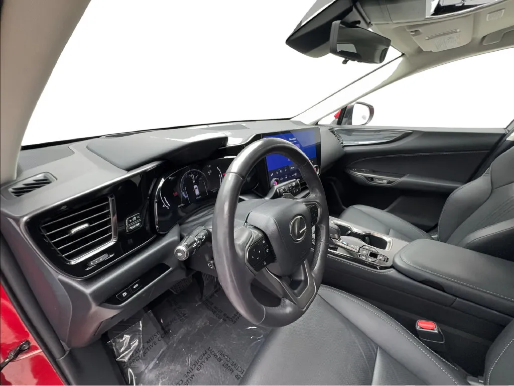 Lexus NX photo 28