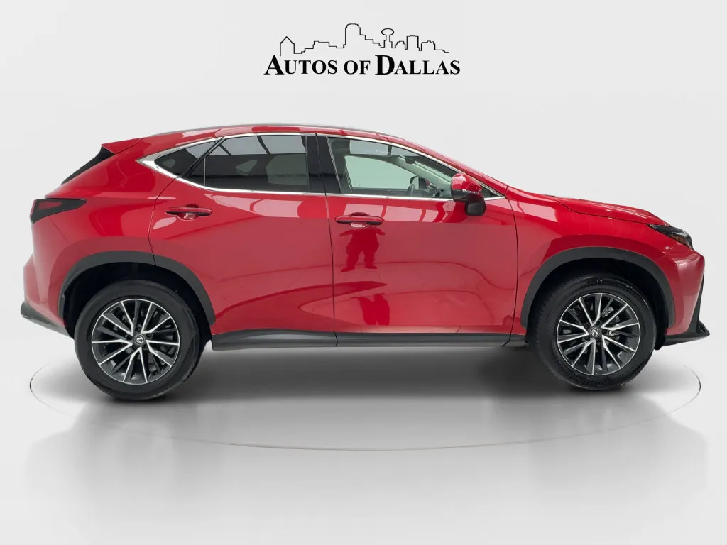Lexus NX photo 11