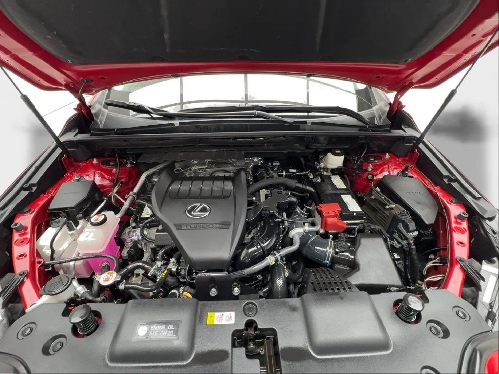 Lexus NX photo 15
