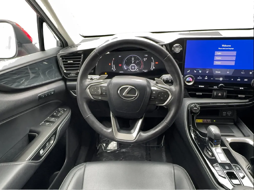 Lexus NX photo 22
