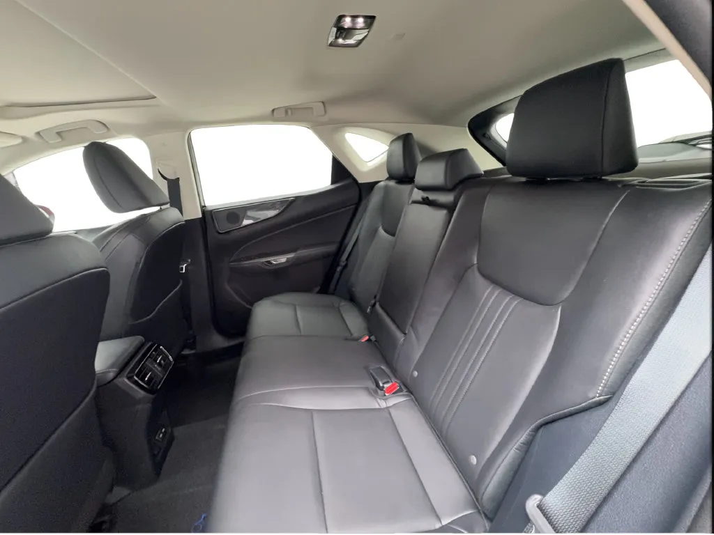 Lexus NX photo 32