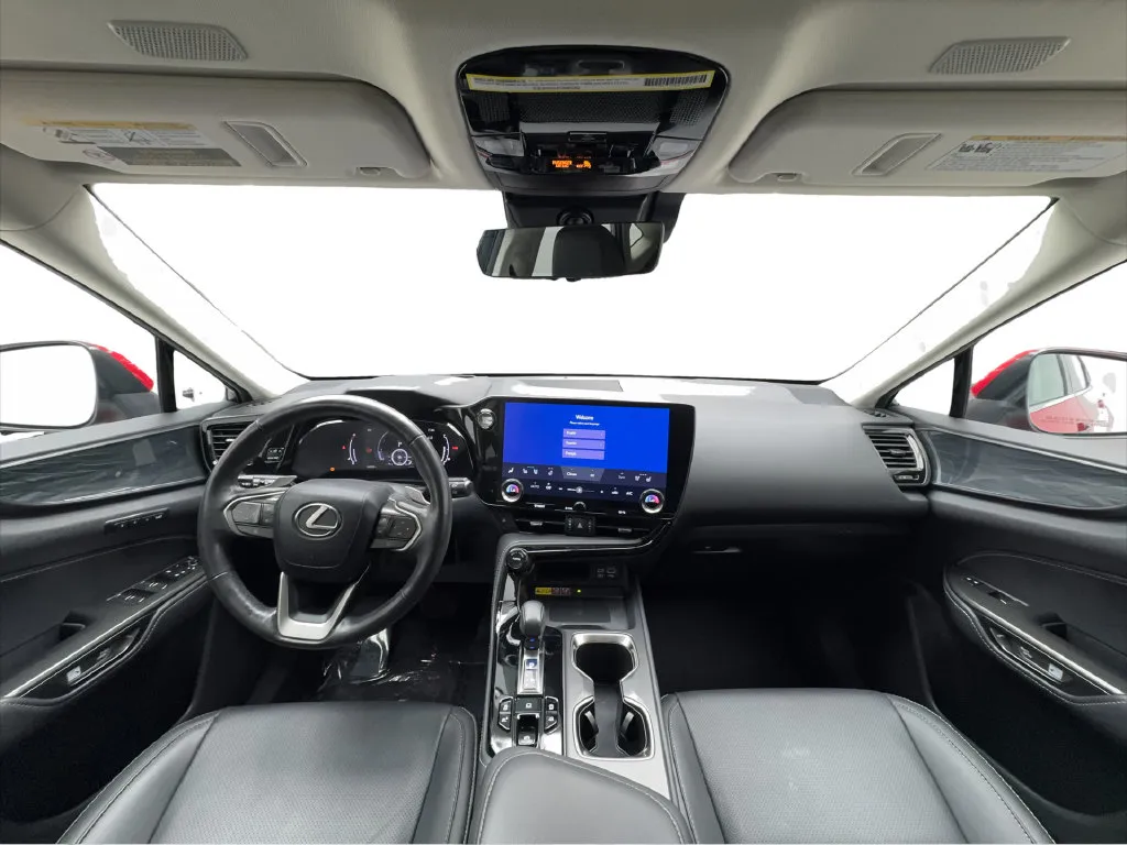Lexus NX photo 23