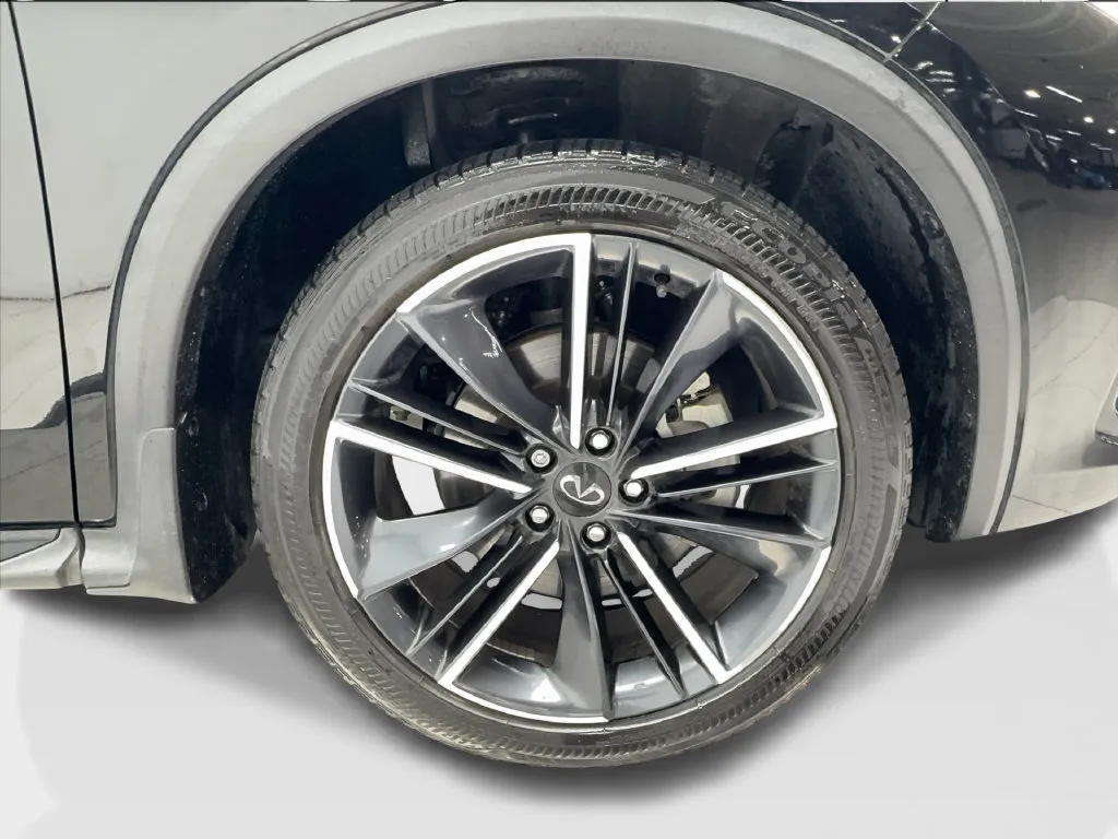 Infiniti QX55 photo 16