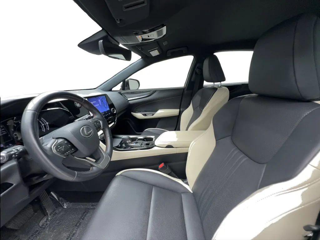 Lexus NX photo 21