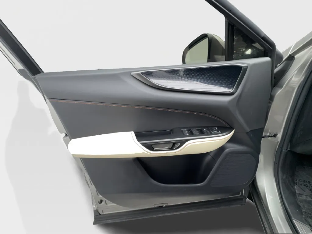 Lexus NX photo 23