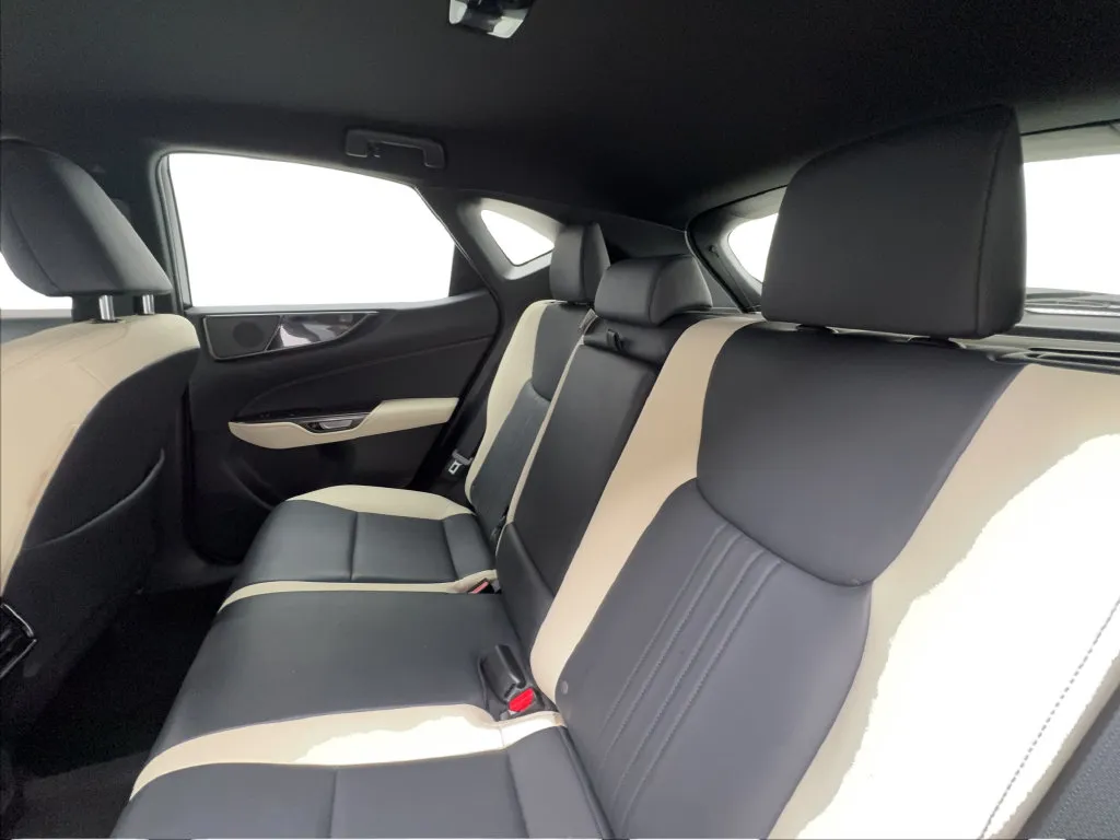 Lexus NX photo 26