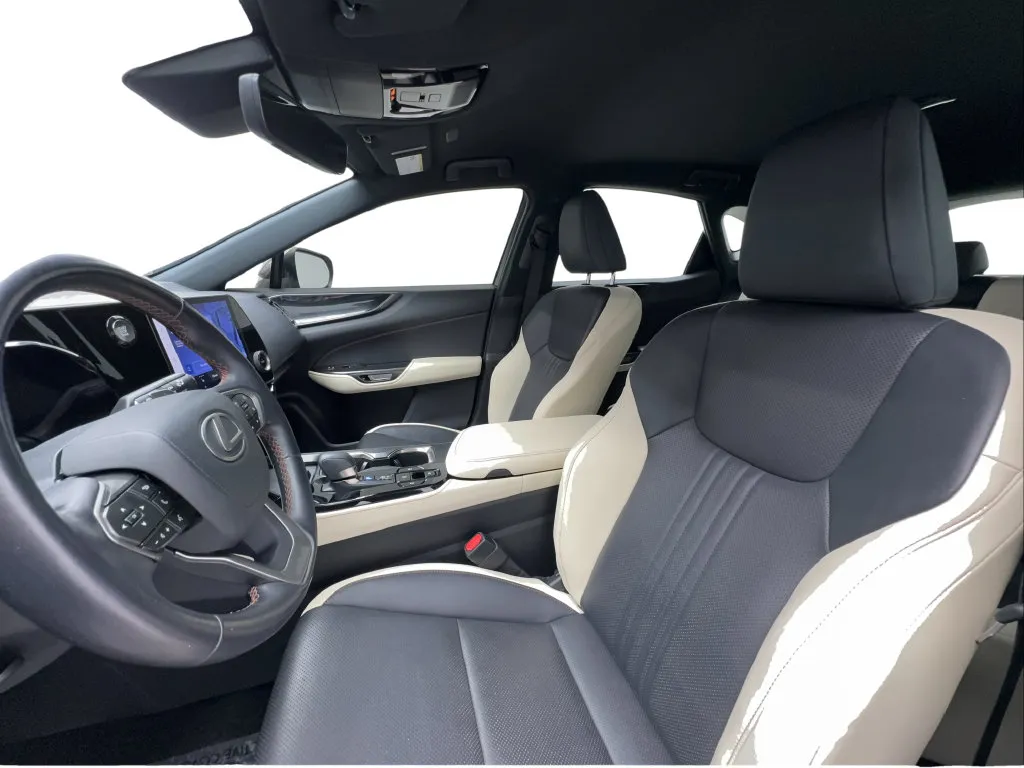 Lexus NX photo 20