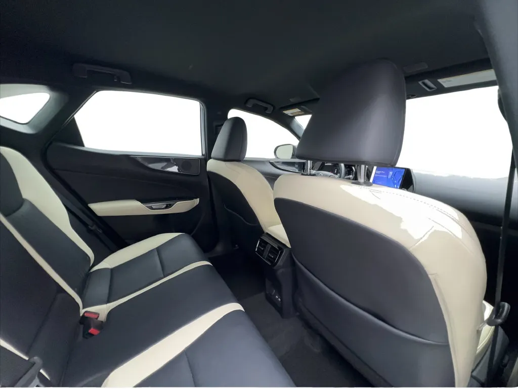 Lexus NX photo 28